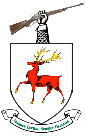 McCarthy Arms LLC